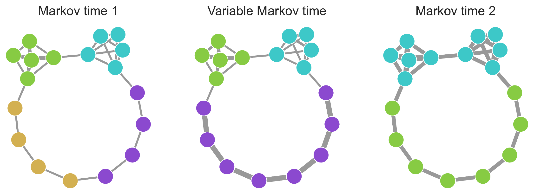 Constant and variable Markov time in a toy network. Colors show detected communities, which capture nodes where a random walker tends to spend a relatively long time before exiting. Markov time describes the number of steps before reporting the node. With a default one-step random walk, the chain is optimally partitioned into two communities. With Markov time 2, the random walker takes two steps per recording which double the flow between nodes, indicated by the wider links. This increases the field-of-view limit and enables the random walker to optimally explore the chain as a single community. However, this comes with the cost of an increased resolution limit, which makes it harder to detect modular patterns in denser areas. Variable Markov time relaxes the constraint of moving with a constant encoding rate and adapts the encoding rate to the level of sparsity. Variable Markov time increases the gap between the lower resolution limit and upper field-of-view limit and enables us to detect community structures with a broader range of scales than was previously possible.